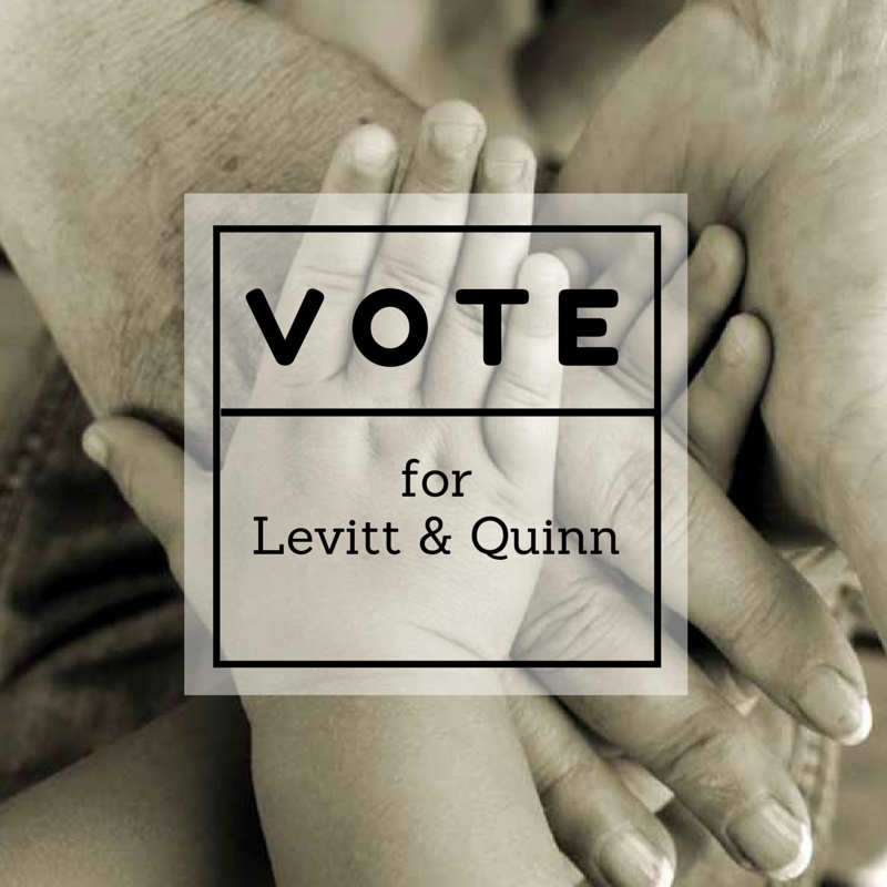 VOTE for LevittQuinn